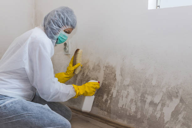 Best HVAC Mold Inspection and Cleaning  in USA